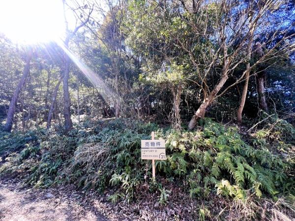 太宰府市大字大佐野土地